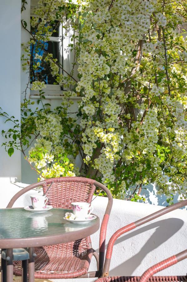 Dahlia Apartments And Studios Aliki  Exterior photo