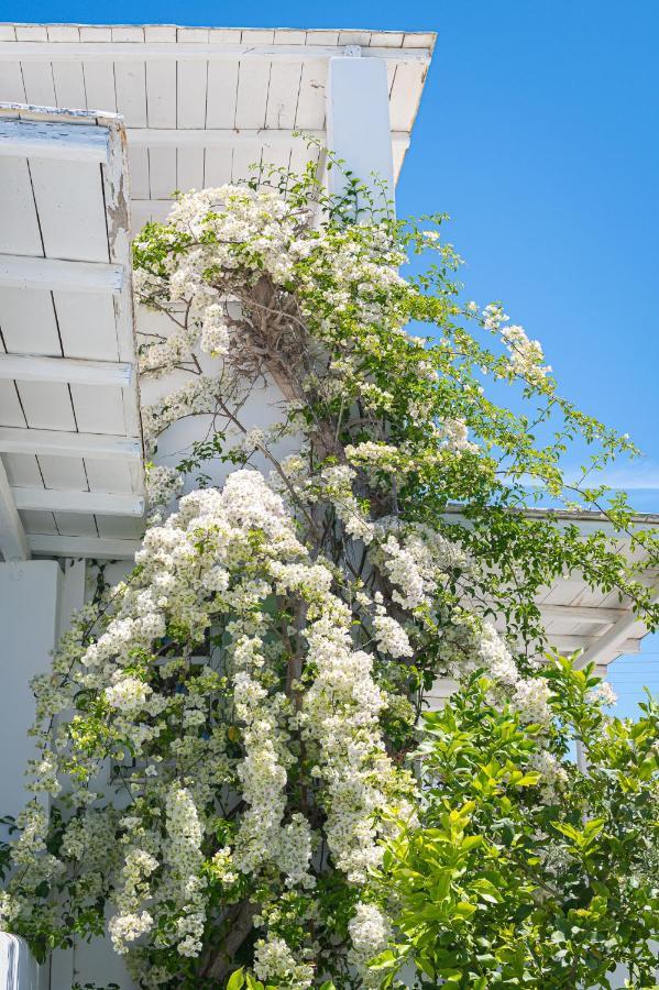 Dahlia Apartments And Studios Aliki  Exterior photo